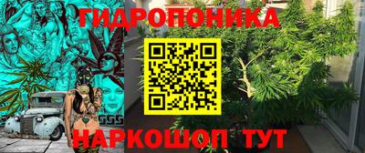соль ск Ярославль