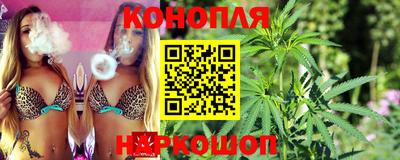 винт Шахты