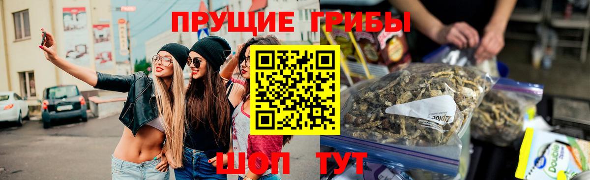 Галлюциногенные грибы Psilocybe Луховицы